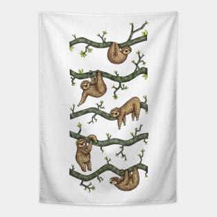 Sloths Tapestry