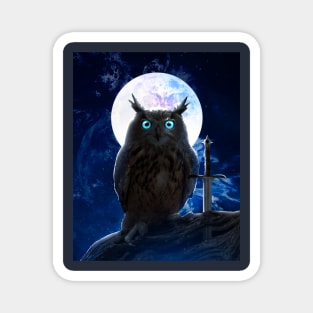 The Night Owl Magnet