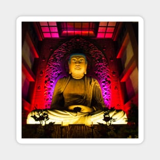 Photography - Lighting Buddha Magnet