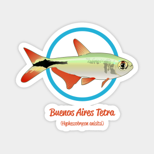 Buenos Aires Tetra Magnet