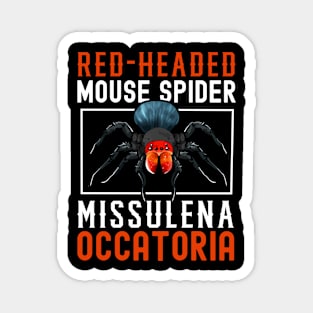 Red headed mouse spider Magnet