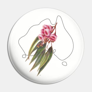 Flowers of Australia - Pink Flowering Gum Pin