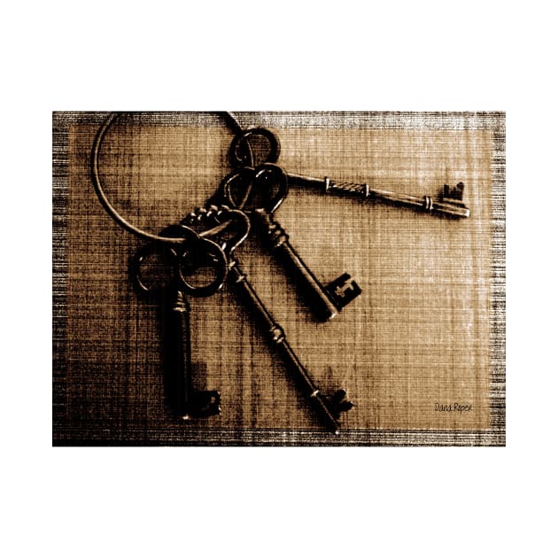 Skeleton Keys by DANAROPER