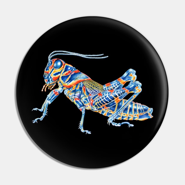 Rainbow Grasshopper Pin by Tim Jeffs Art