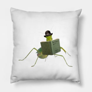 The Athiest Mantis Pillow