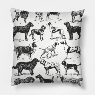 TYPES OF DOGS VETERINARY ILUSTRATION Pillow