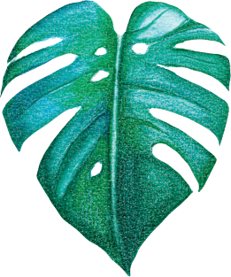 watercolor monstera leaf Magnet