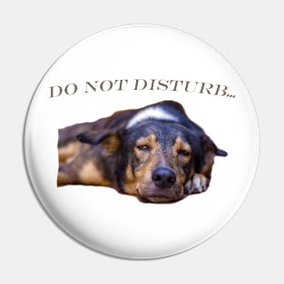 cool and funny dog Pin