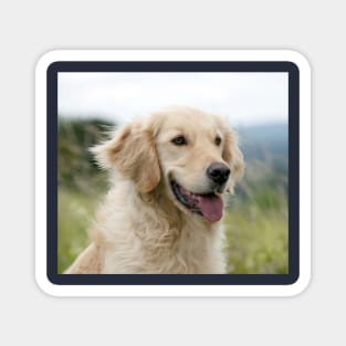 Golden Retriever Dog Magnet