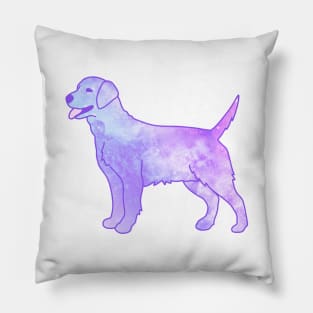 Galaxy Dog Pillow