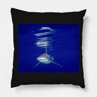 Shark With Vivid Reflections Pillow