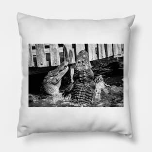 Gator time fight black and white Pillow