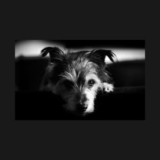 terrier, dog black and white T-Shirt