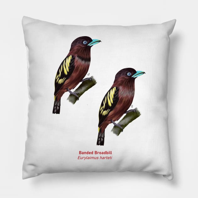 Banded Broadbill  | Eurylaimus harteti ⚥ Pillow by bona 