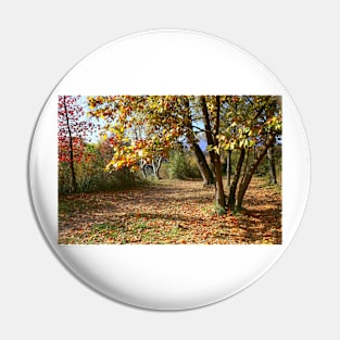 Autumnal trees Pin