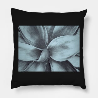 Agave bw Pillow