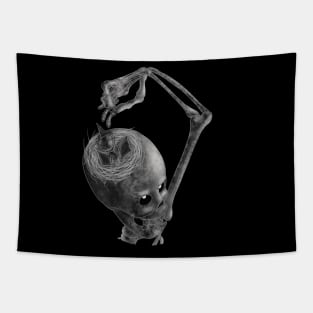 Skeleton feed chicks bw Tapestry