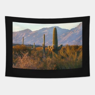 Sonoran Desert Sunset Tapestry