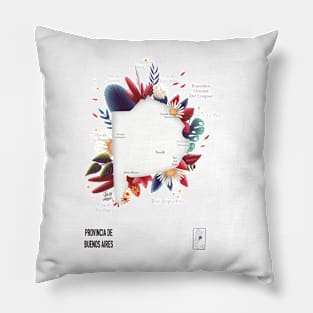 Buenos Aires Pillow