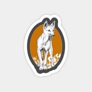 Young Dingo drawing - orange background Magnet