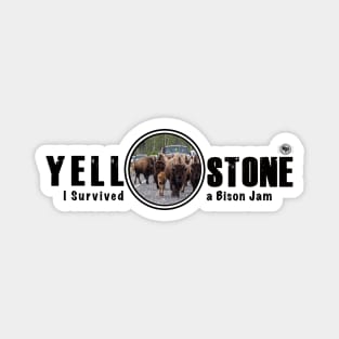 I Survived a Bison Jam, Yellowstone National Park Magnet