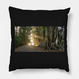 Fig Trees, Norfolk Island Pillow