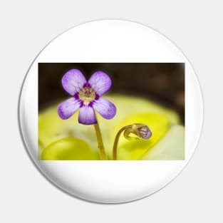 Butterwort Flower Pin