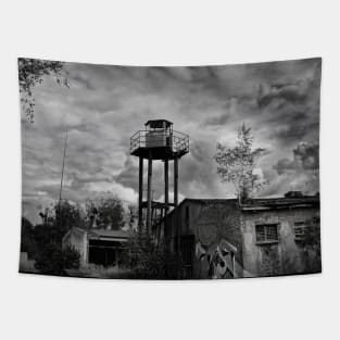 Russian Military Ruins, Vogelsang Germany - 09 Tapestry