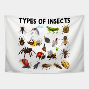 Types Of Insects Bug Identification Science Tapestry