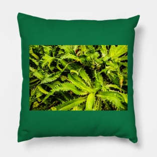 Spiky leaves Pillow