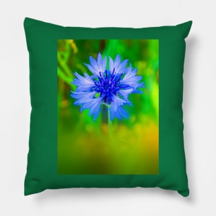 Cornflower Close Up Pillow