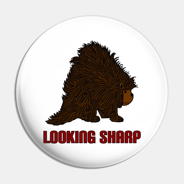 Looking Sharp Porcupine Pin by imphavok