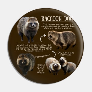 Animal Facts - Raccoon Dog Pin