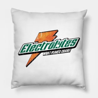 Electrolytes! Pillow