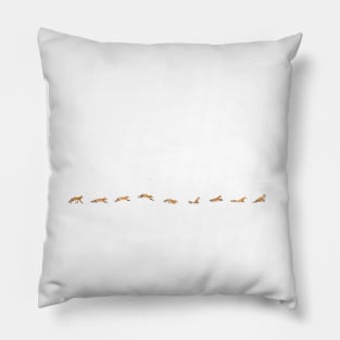 Fox Trot - Algonquin Park Pillow