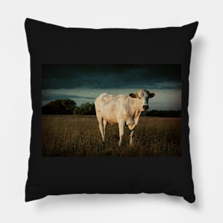 Bullock#8 Pillow