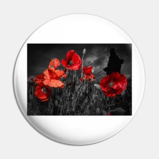 Royal Marine Remembrance Pin