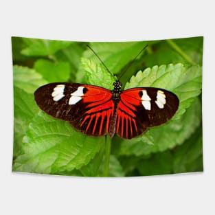 Red and Black Butterfly Tapestry