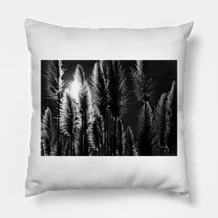 Pampas Grass with Back Light Pillow