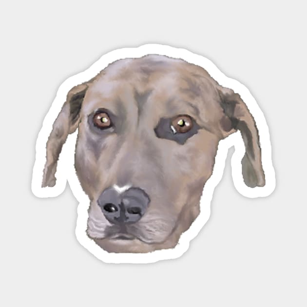 Catahoula Magnet by ArtistsQuest