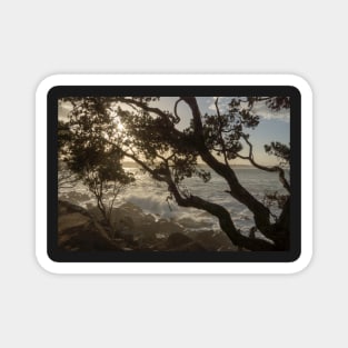 Sea through the trees. Magnet