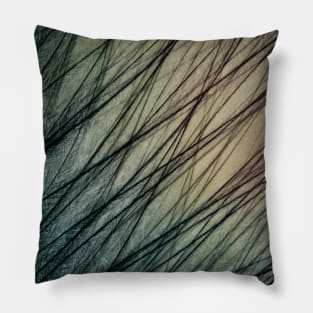 Feathered III Pillow