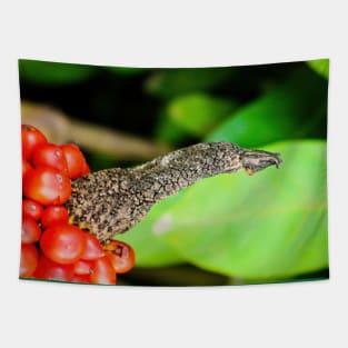 Birds beak Tapestry