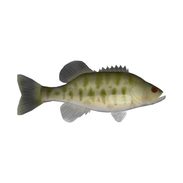 Shoal Bass by FishFolkArt