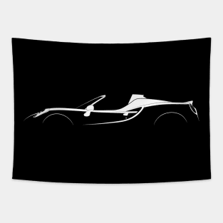 4C Spider Silhouette Tapestry