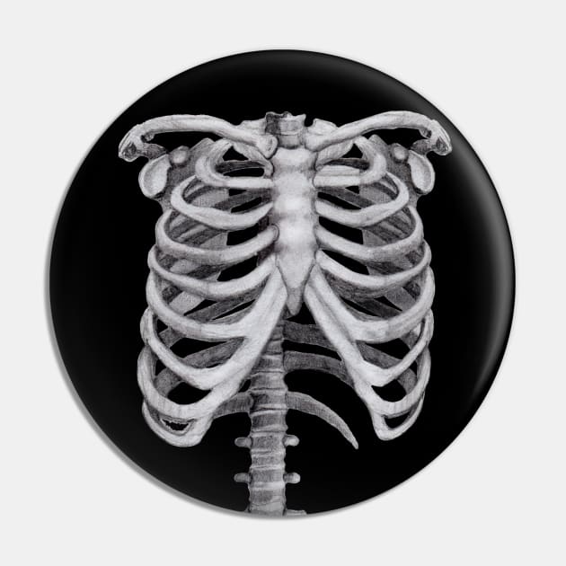 Ribs Sketch - Anatomy Drawing - Skeleton Pin by AnitasArtStore