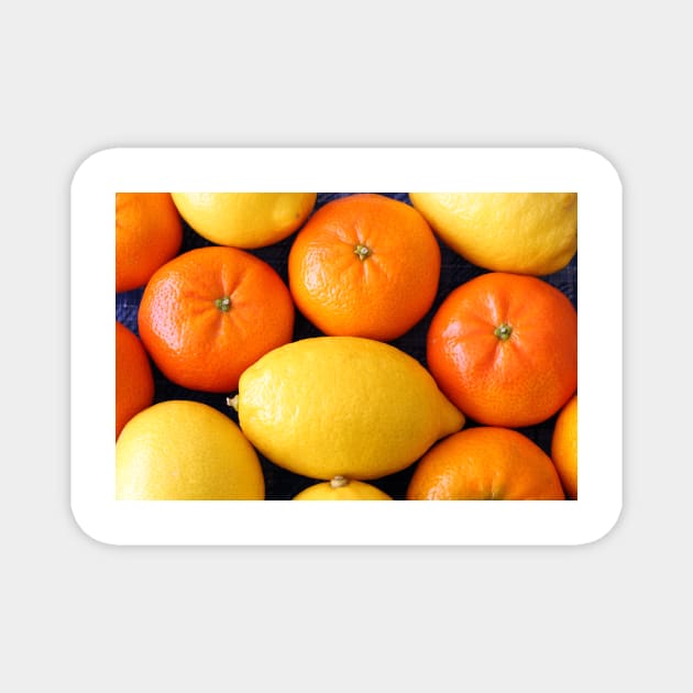 Oranges and Lemons Magnet by pinkal