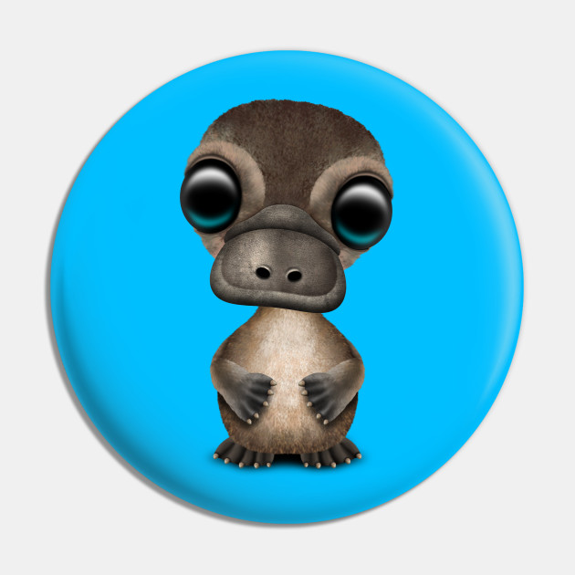 Cute Baby Platypus Platypus Pin Teepublic