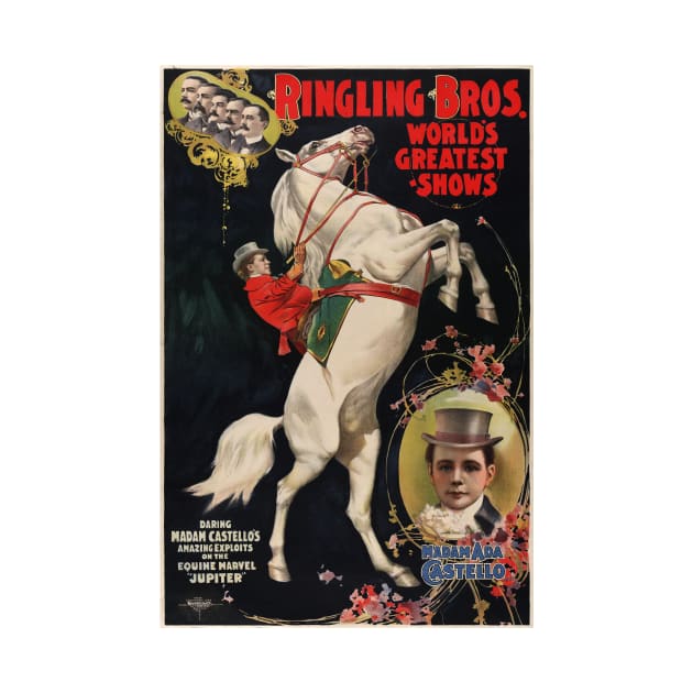 Ringling Bros Horse Circus Performances Stunt Advertisement Vintage by vintageposters