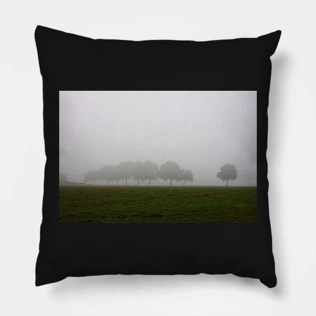 Foggy Dutch Countryside Pillow by Bierman9